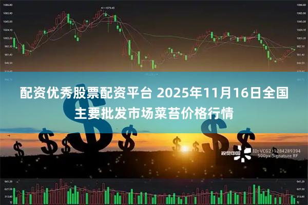 配资优秀股票配资平台 2025年11月16日全国主要批发市场菜苔价格行情